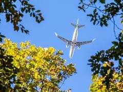 Flugzeug fliegt über einen Wald