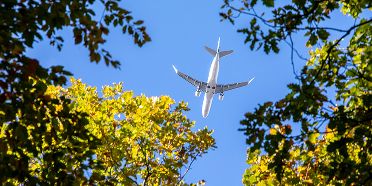 Flugzeug fliegt über einen Wald
