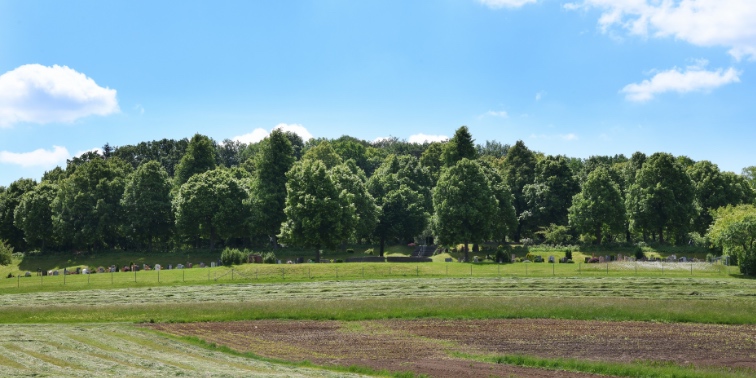 Waldfriedhof Leinfelden