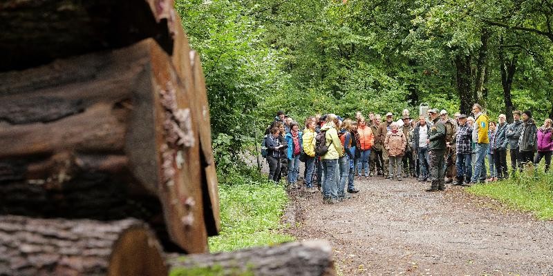 Eine große Gruppe Menschen steht auf einem Waldweg, hört einem Förster zu. Links im Bild sind aufgestapelte Baumstämme zu sehen.