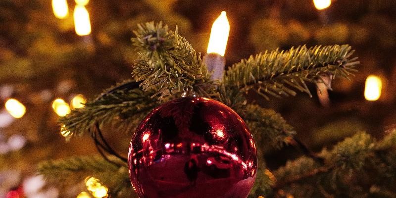 Rote Kugeln hängen an beleuchtetem Weihnachtsaum
