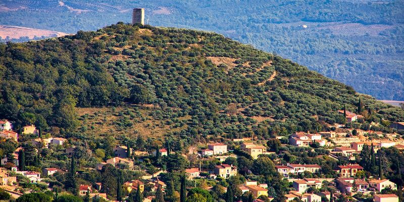 Freundschaften und Begegnungen links und rechts vom Atlantik Die französische Partnerstadt Manosque (Provence) im Sommer