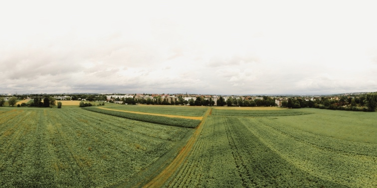 Luftaufnahme eines Feldes mit Stadtteil Echterdingen im Hintergrund, die die ländliche und städtische Umgebung zeigt.