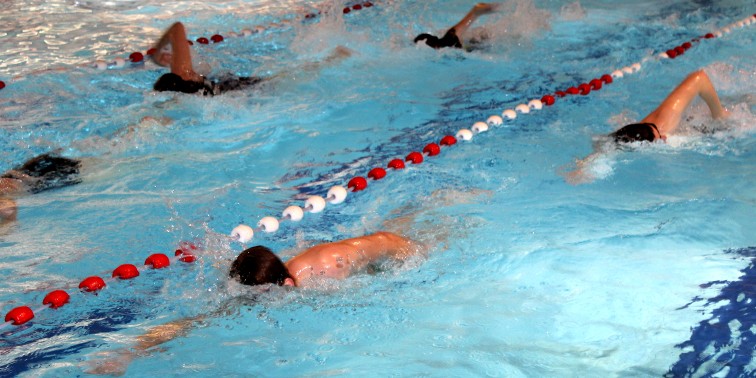 Mehrere Schwimmer kraulen in zwei Bahnen durchs Hallenbadbecken.