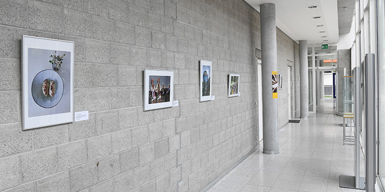 Ein Gang mit Fotokunstwerken an der Wand innerhalb der Volkshochschule