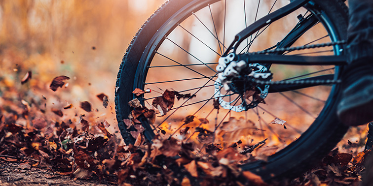 Stettener Mountainbike-Trails in der Feinplanung Mountainbike im Wald