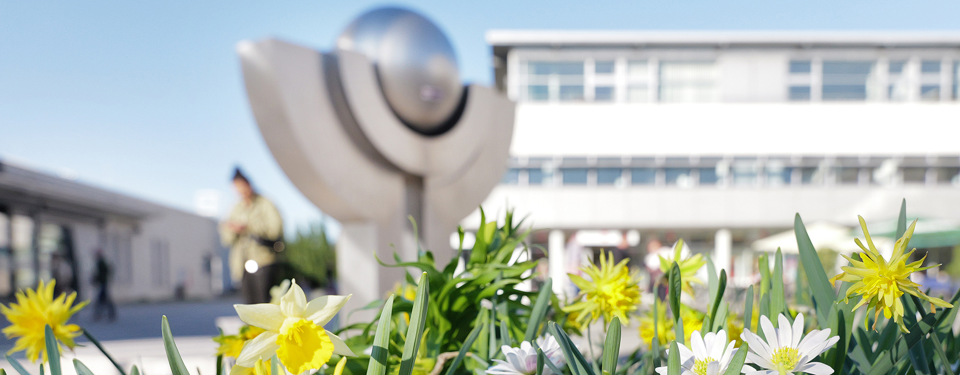 Frühlingshafte Blumen im Vordergrund, im Hintergrund moderne Architektur mit einer Skulptur – ein sonniger Tag auf einem öffentlichen Platz.