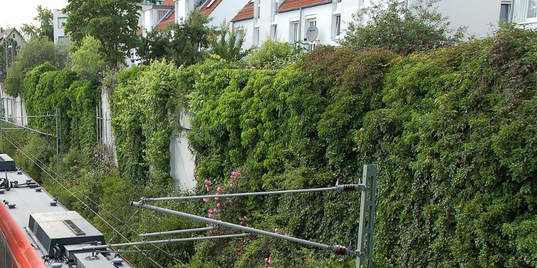 Pflanzenbewachsende Lärmschutzwand zwischen S-Bahn-Trasse und Wohnhäusern