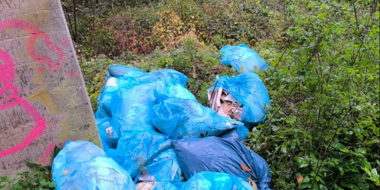 Mehrere blaue Müllsäcke mit Abfall liegen illegal im dichten Gebüsch neben einer Betonwand mit pinkem Graffiti.