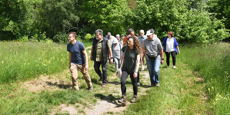 Gruppe von Menschen wandert auf einem Waldweg durch eine blühende Wiese