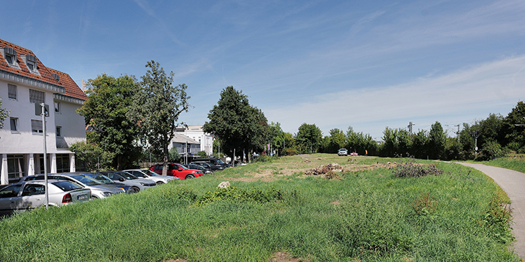 Häuserfassade, daneben parkende Autos eine grüne Wiese mit Fußgänger- und Fahrradweweg 