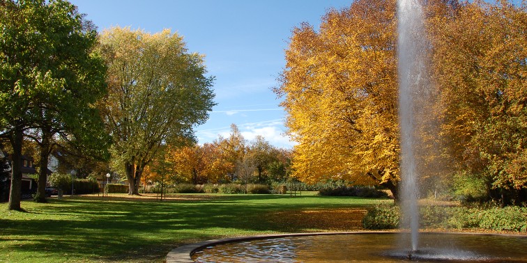 Parkanlage mit Springbrunnen-Fontäne und herbstlich gefärbten Bäumen