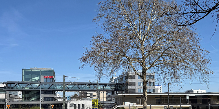 Gewerbe- bzw. Industriegebäude