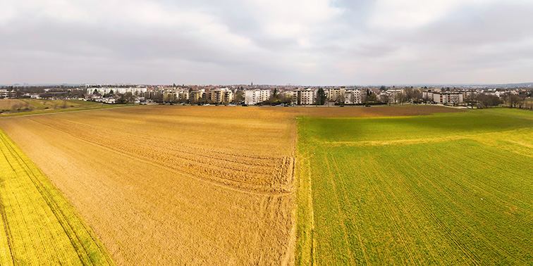 Weite Felder vor einer Häuserzeile unter bewölktem Himmel