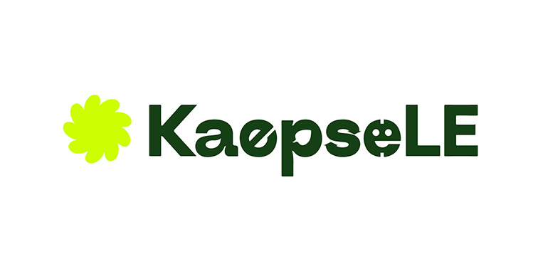 Ein grünes Logo mit dem Schriftzug „KaepsεLE“, bei dem ein lächelndes Steckdosen‑Gesicht das „o“ ersetzt.